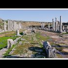 Perge 12