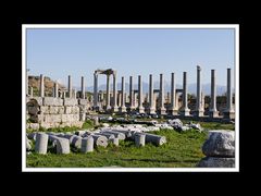 Perge 16