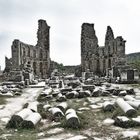 Perge 2005