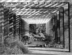 Pergola