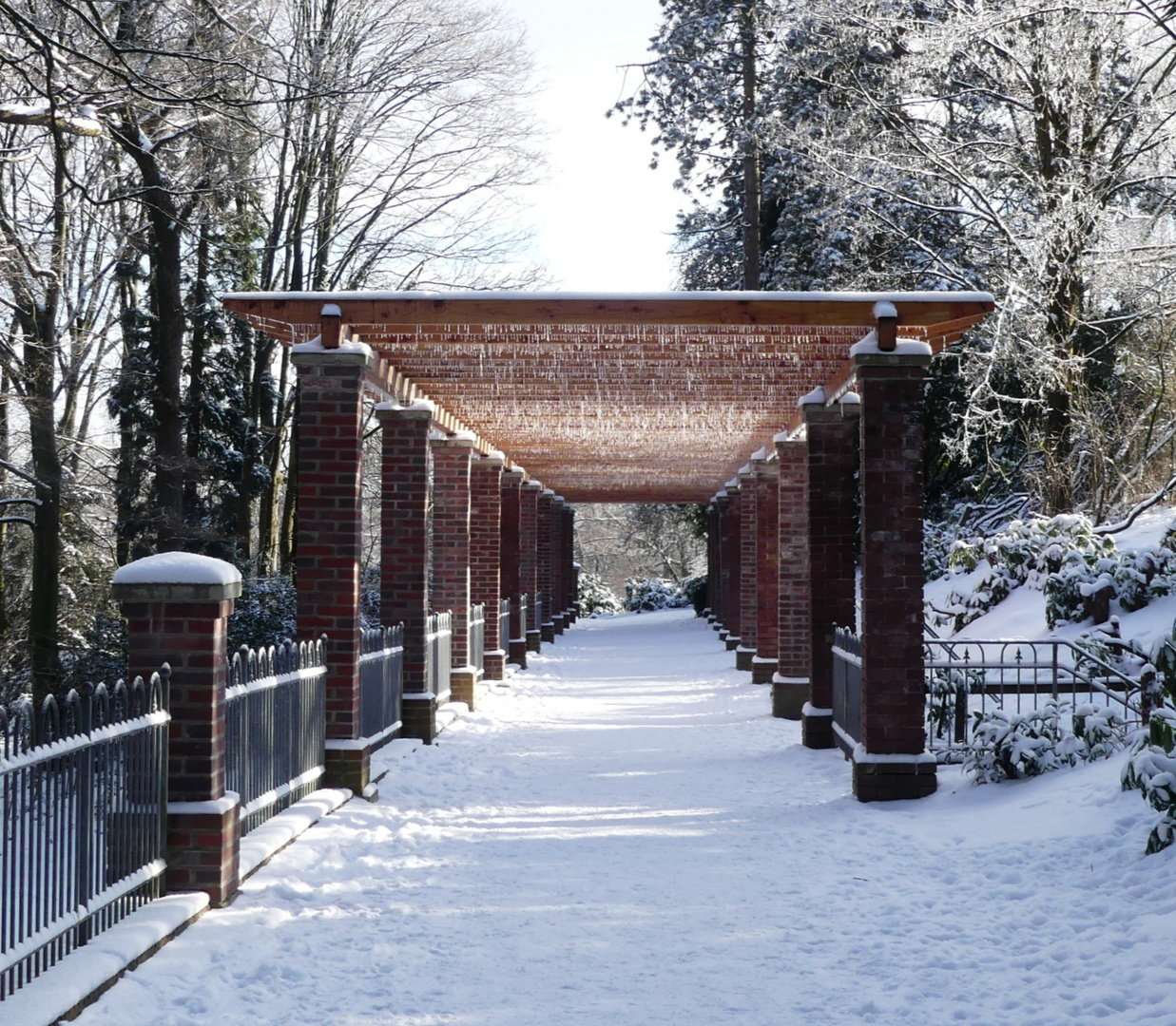 Pergola