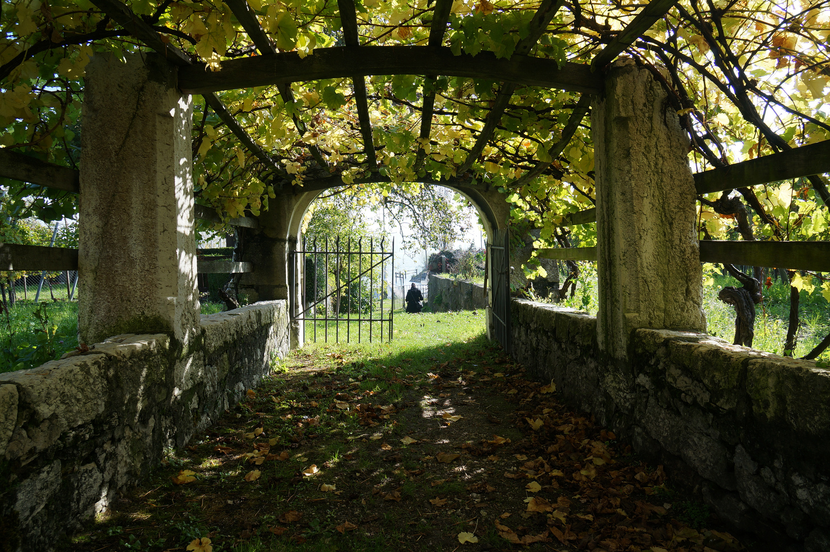 Pergola