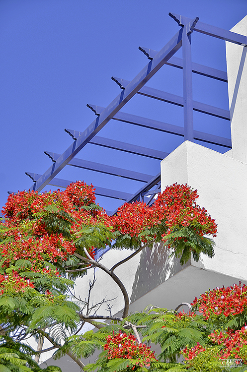 Pérgola en Playa Blanca