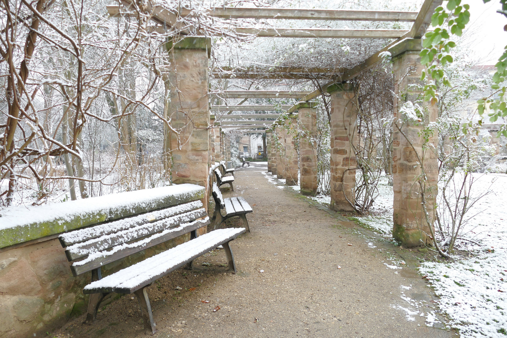 Pergola im Fürther Stadtpark