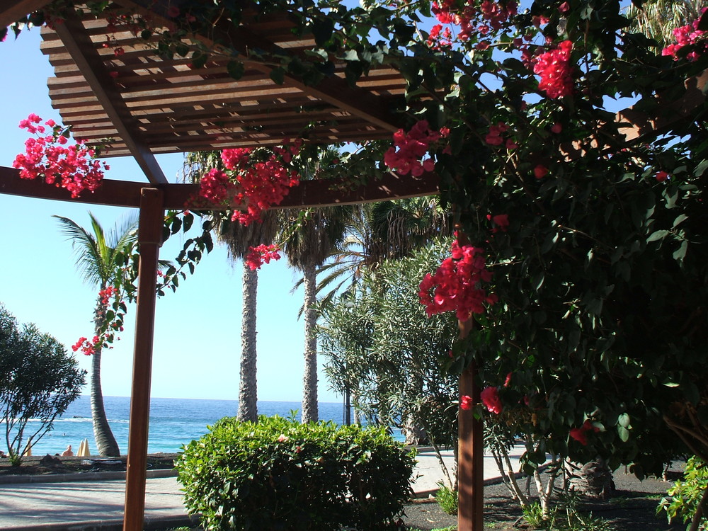 Pergola mit Meerblick