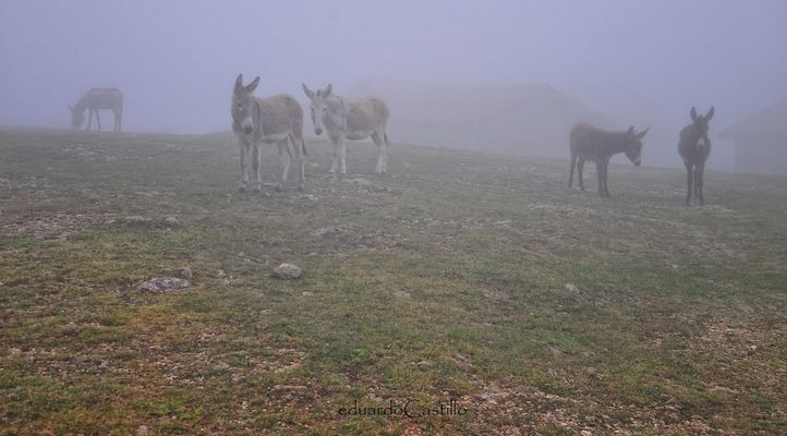  Periferia de un sueño 