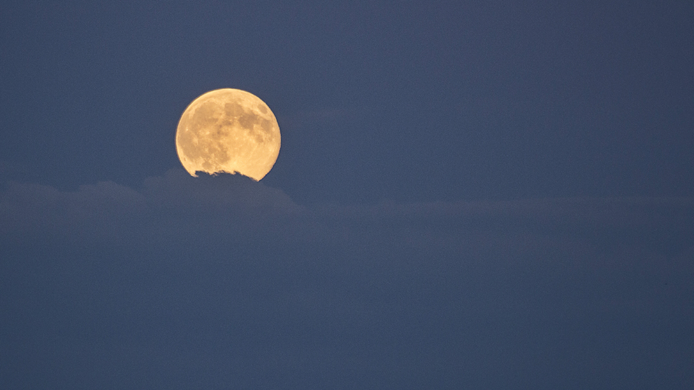 Perigee Moonrise