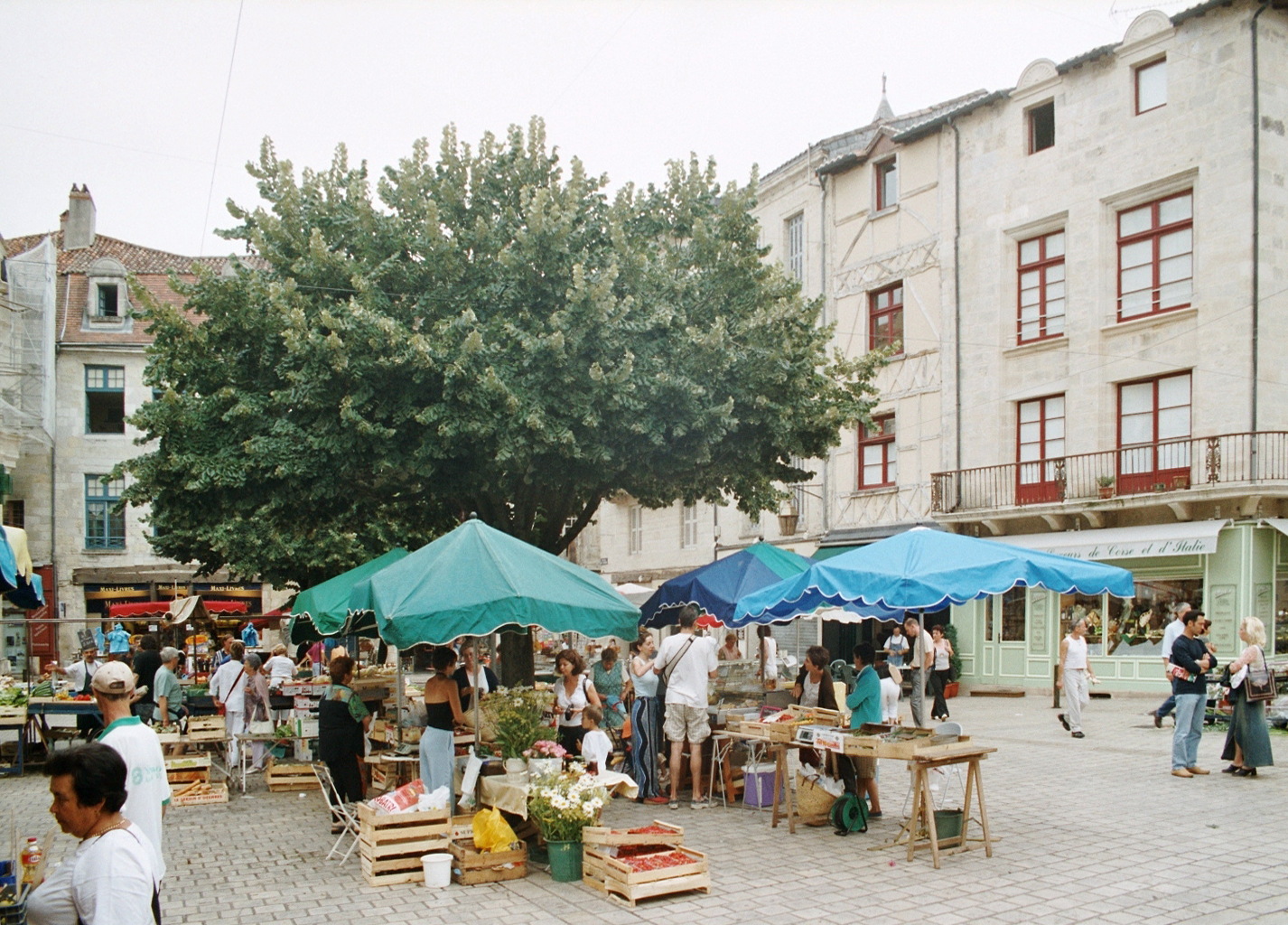 Périgord Blanc: Wochenmarkt in Périgueux …