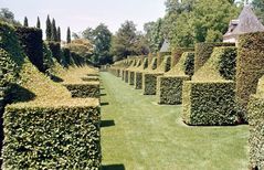 Périgord Noir: Les Jardins d’Eyrignac 2