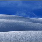 Peripheres Wintertännchen, sich vor der Ästhetik des Neuschnees verneigend