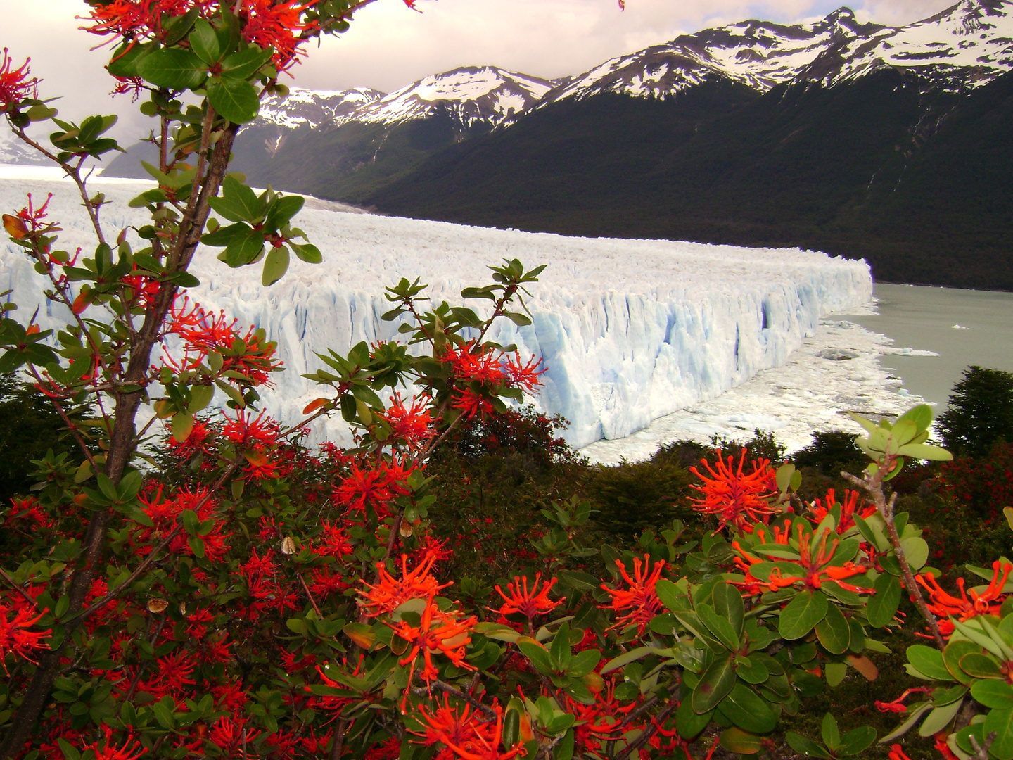 PERITO MORENO