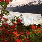 PERITO MORENO