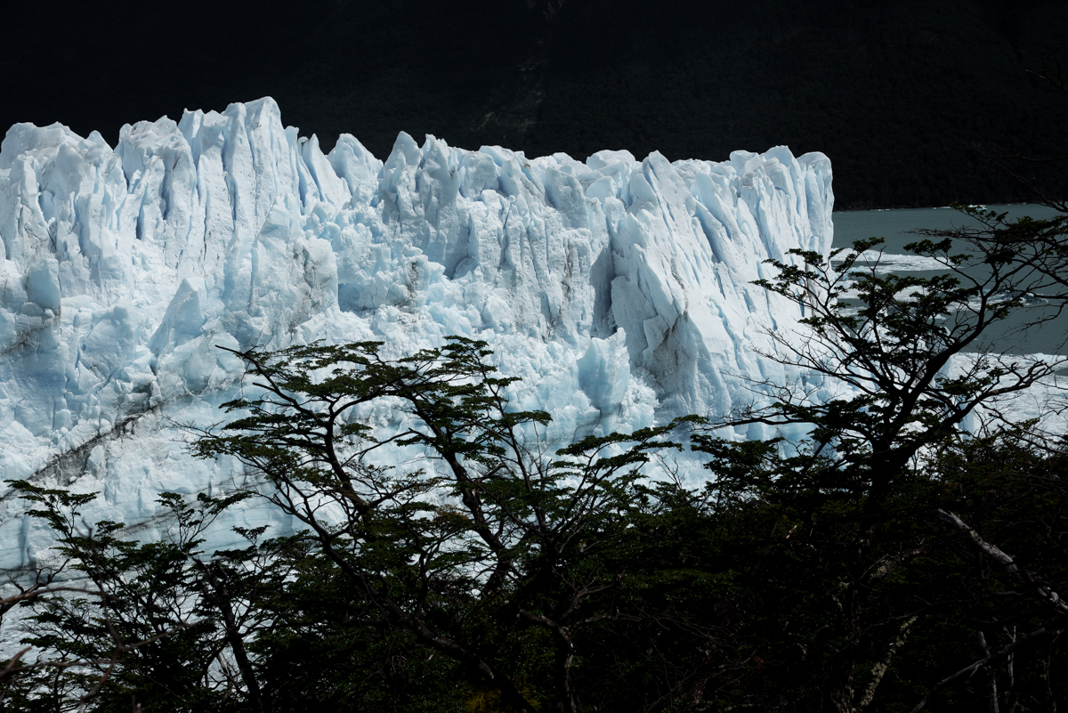 Perito Moreno 4