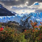 Perito Moreno 4