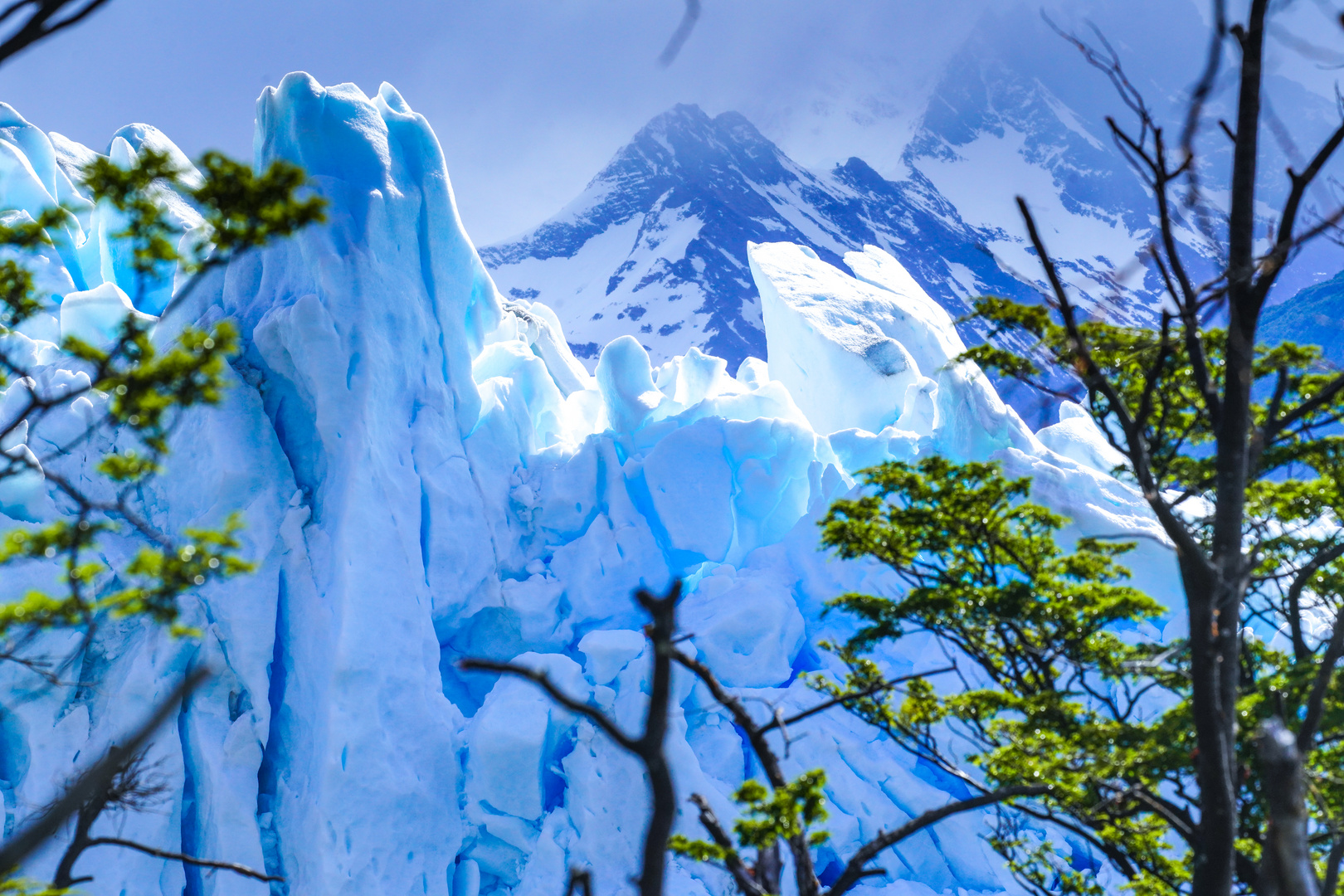 Perito Moreno 5