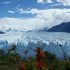 Perito Moreno 