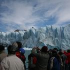 Perito Moreno am Lago Argentino