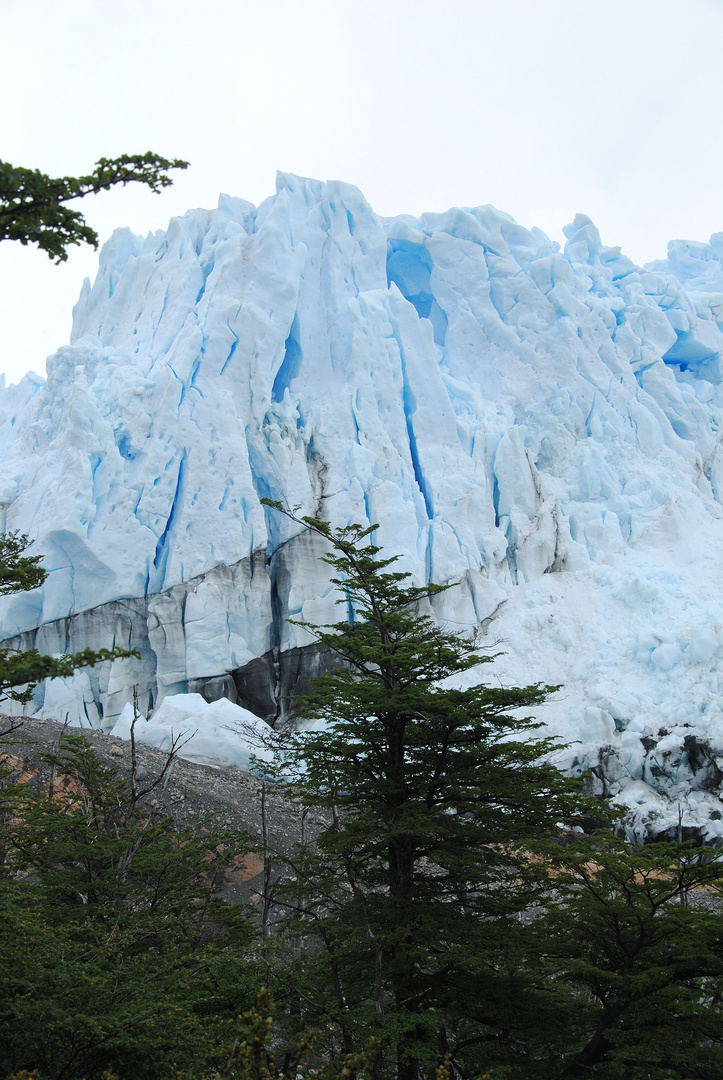 Perito Moreno am Largo Argentino