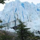 Perito Moreno am Largo Argentino