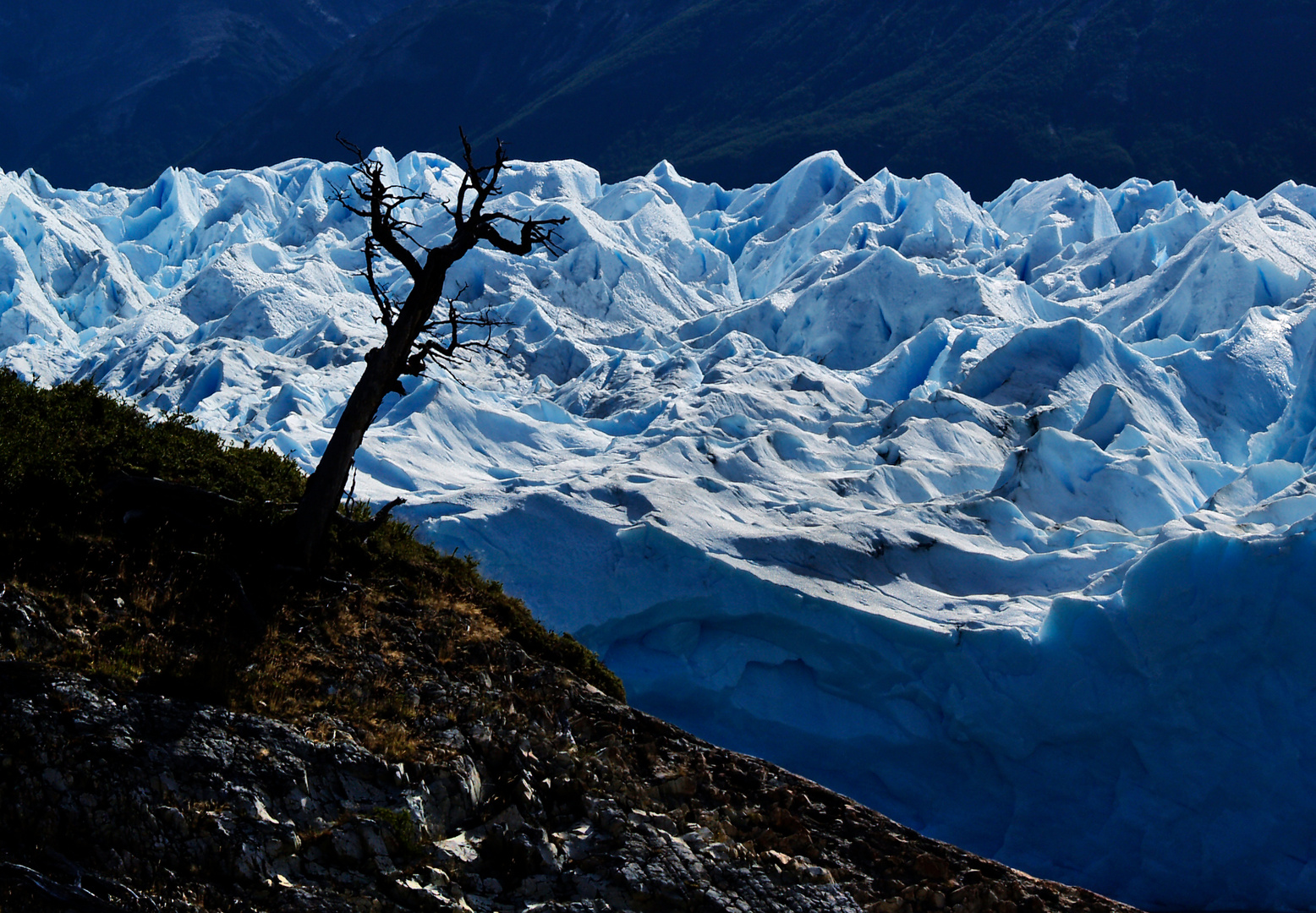 Perito Moreno ,