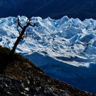 Perito Moreno ,