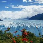 Perito Moreno-Glaciar