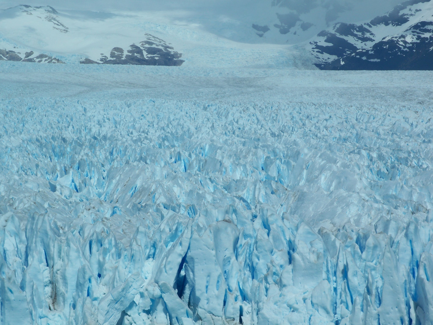 Perito Moreno Gletscher 2