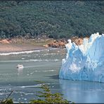 Perito Moreno-Gletscher (2)