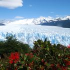 Perito-Moreno-Gletscher