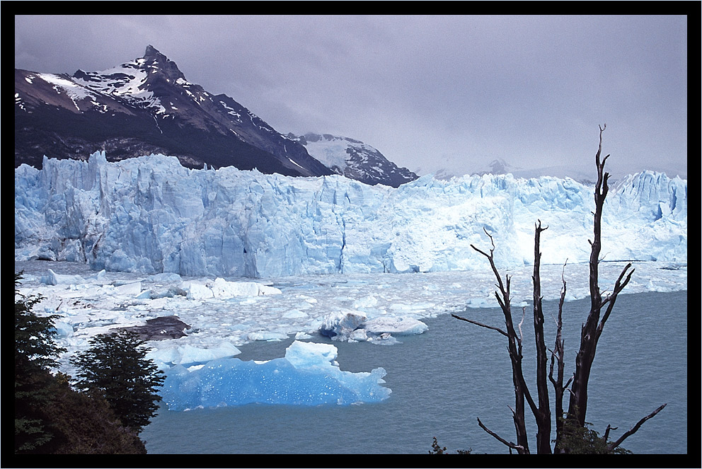 Perito Moreno-Gletscher (6)