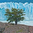 Perito Moreno Gletscher