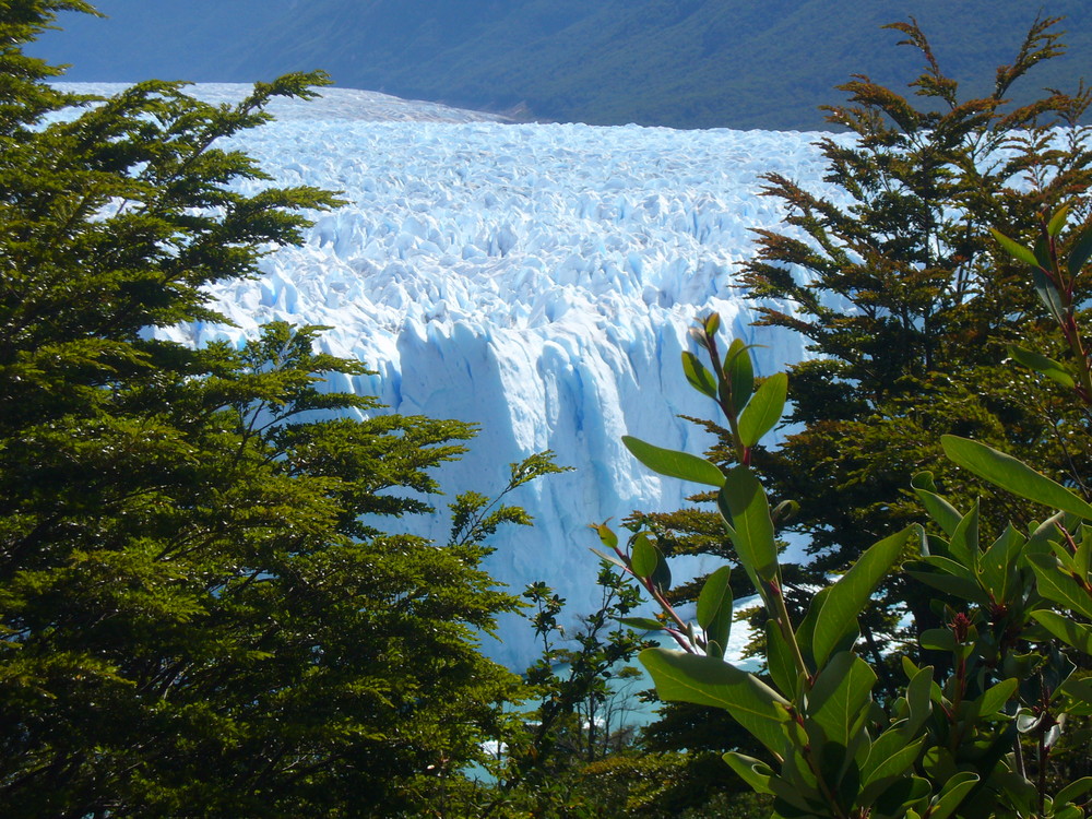 Perito Moreno- Gletscher