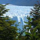 Perito Moreno- Gletscher