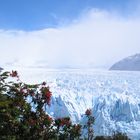 Perito Moreno in der Sonne