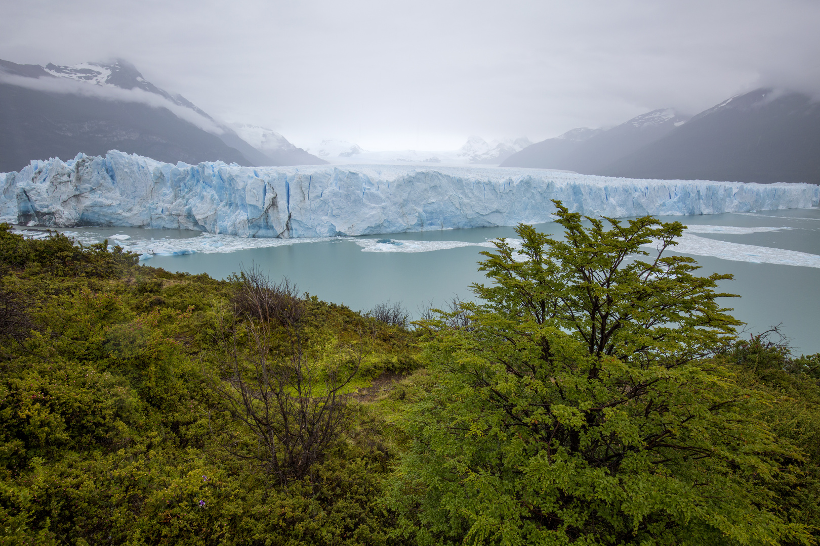 Perito Moreno mit grüner Vegetation