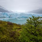 Perito Moreno mit grüner Vegetation