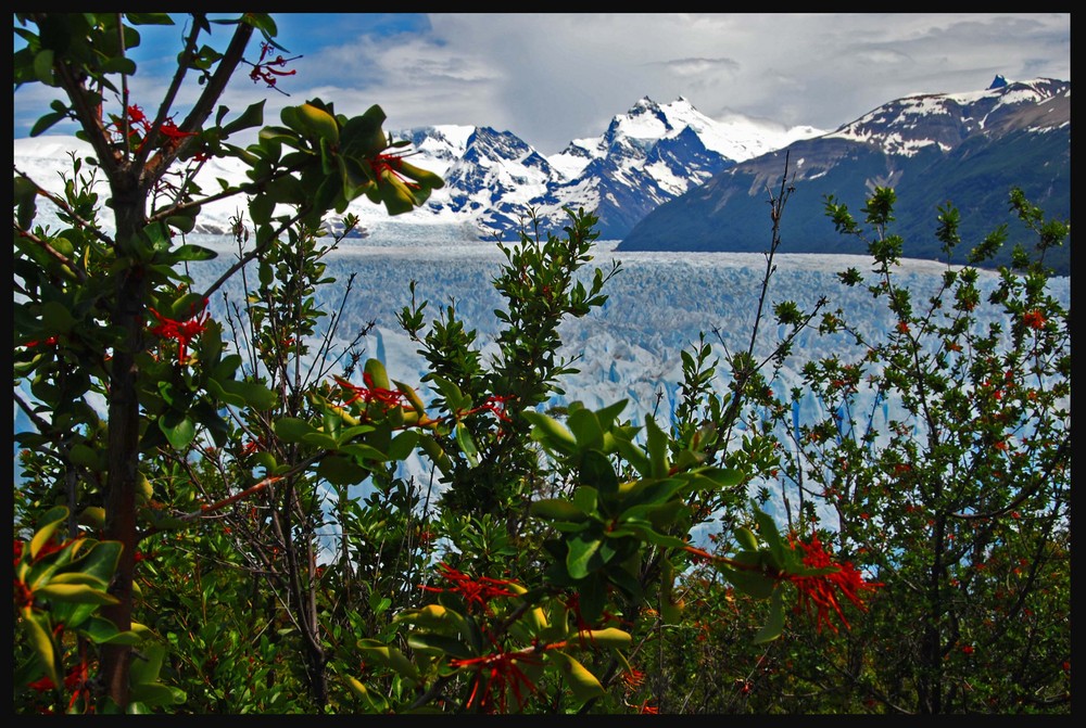 PERITO MORENO VIEW 2