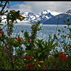 PERITO MORENO VIEW 2