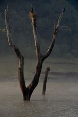 Periyar National Tierpark