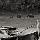 Periyar Tiger reserve 7