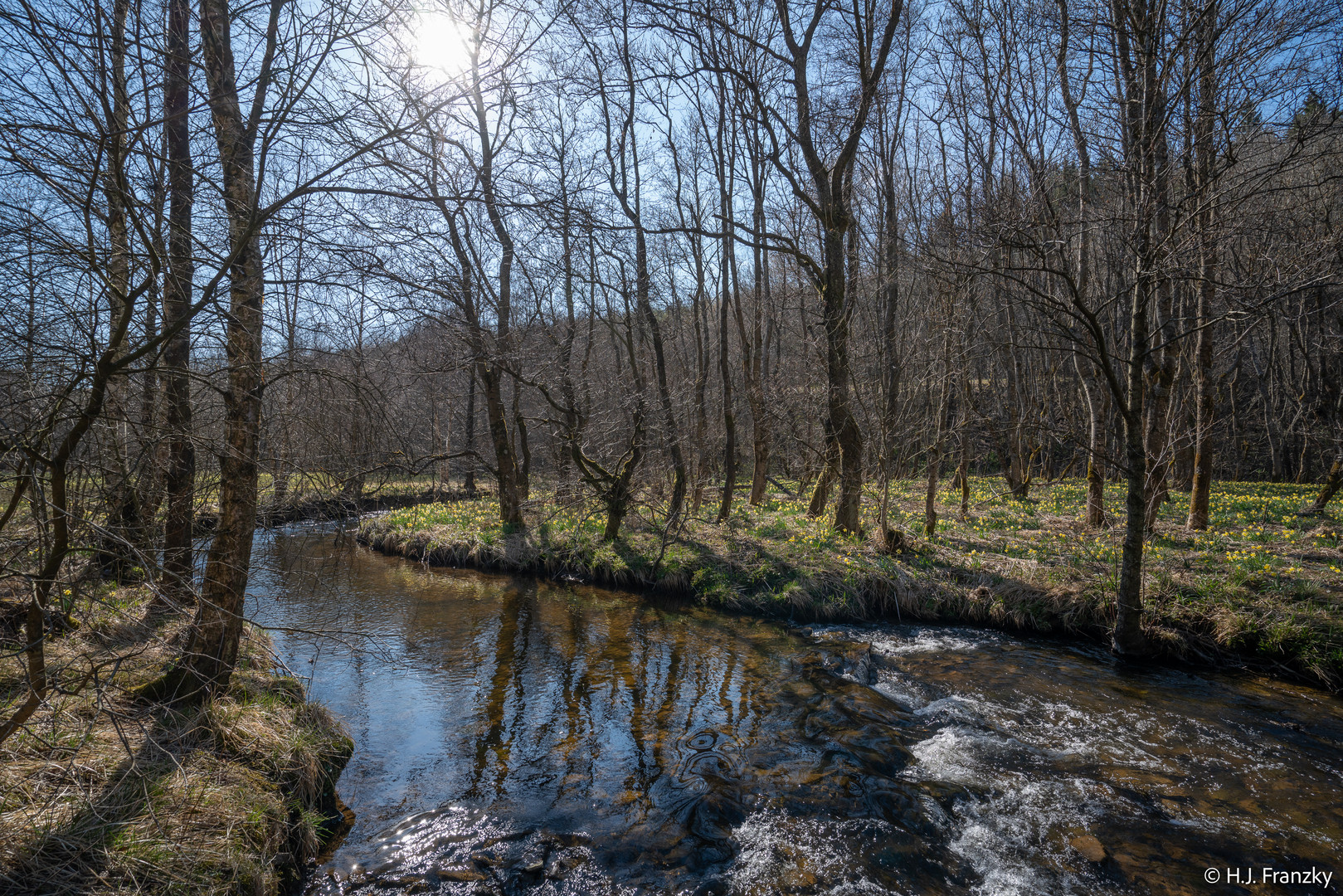 Perlbach-20210427DSC01412