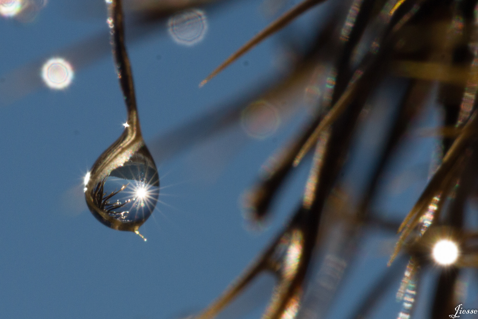 perle de cristal