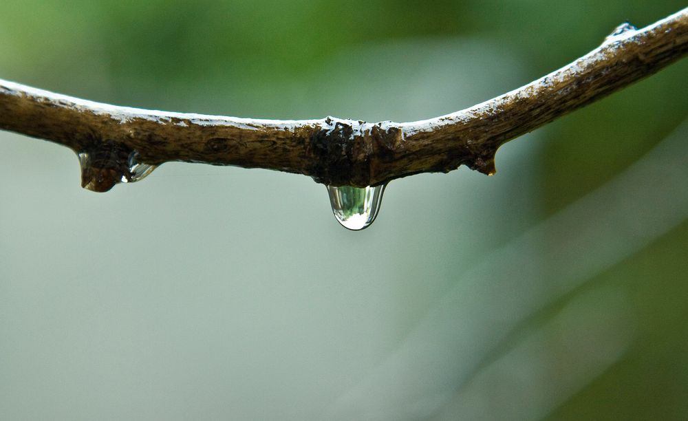 Perle de pluie by Wolf13280 