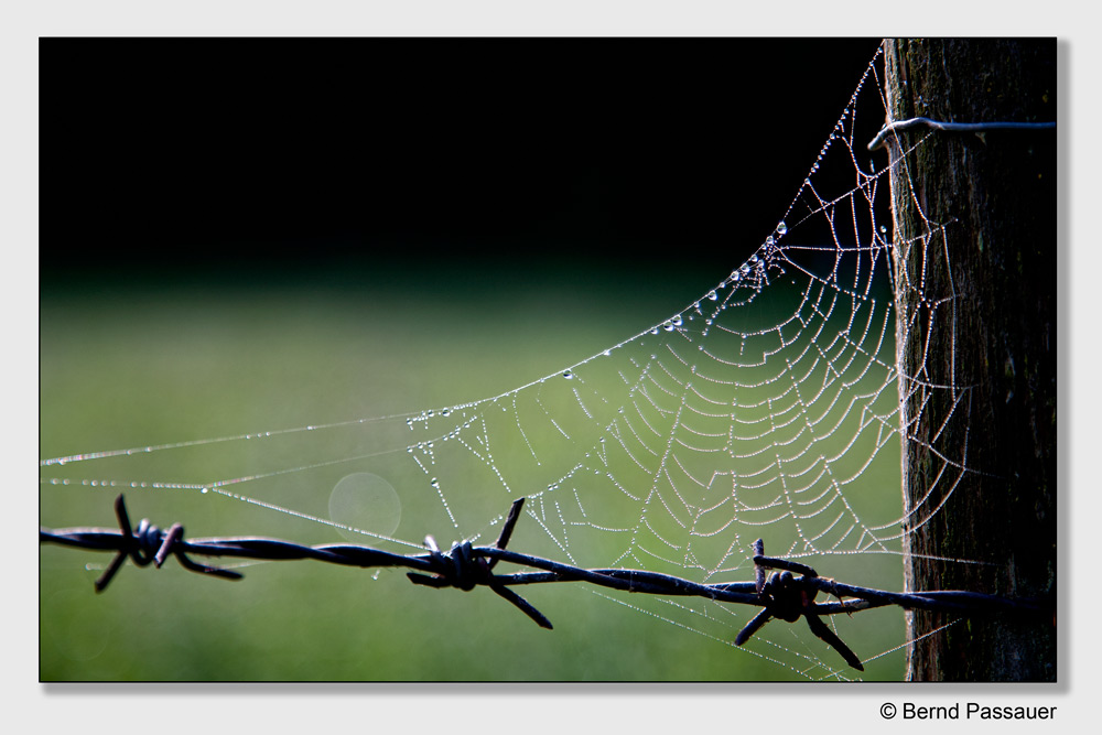 Perlen an der Schnur ...