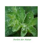 Perlen der Natur