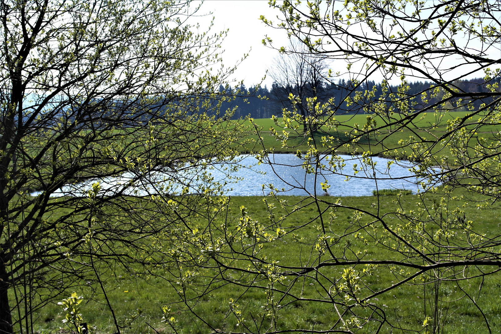 Perlen  im  Slibersee