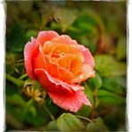 Perlen-Rose