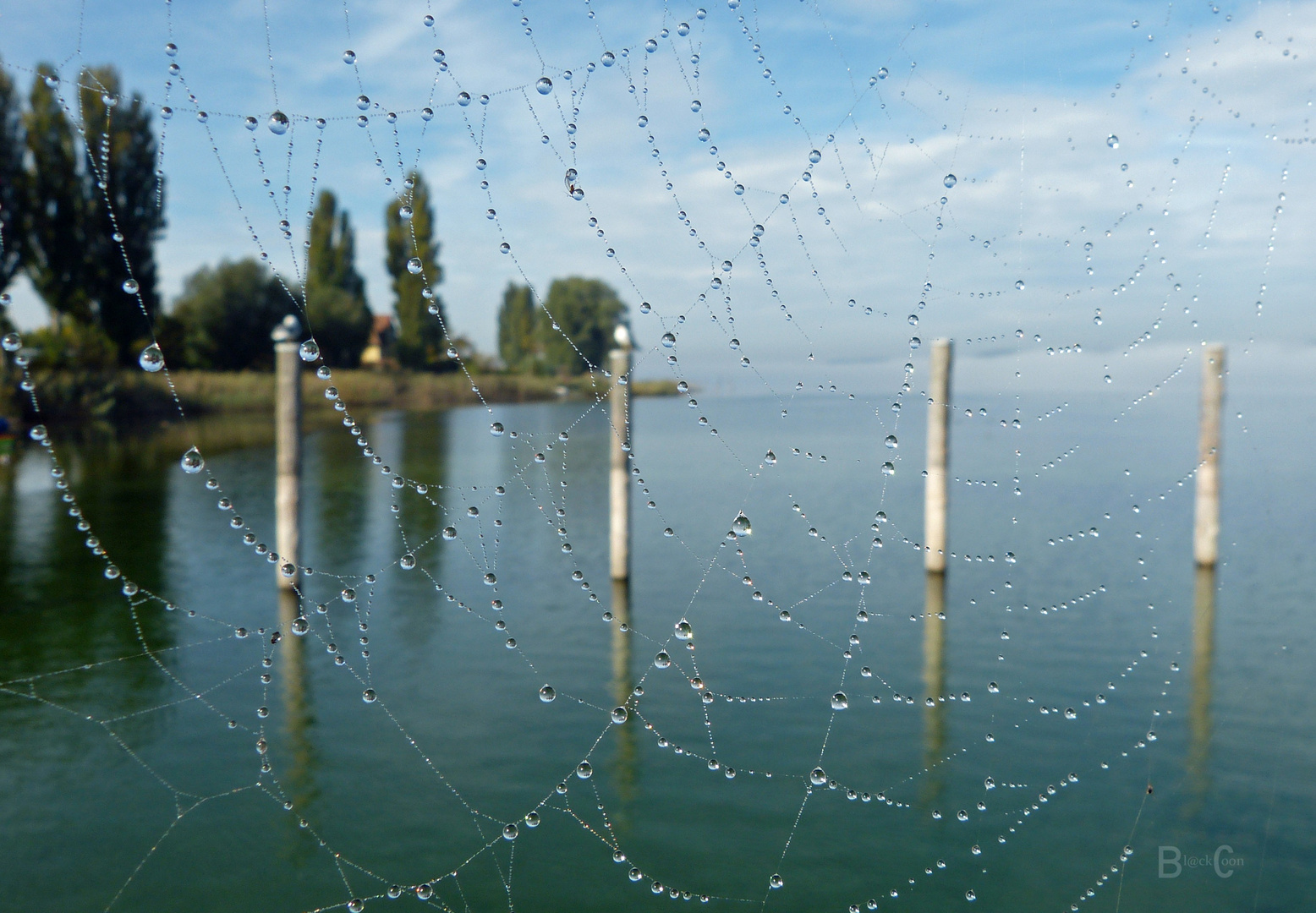 Perlen vom Bodensee