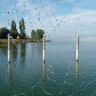 Perlen vom Bodensee