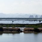 ...Perlenfarm in der Halong Bay...